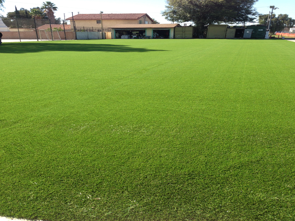 Fake Lawn Hala