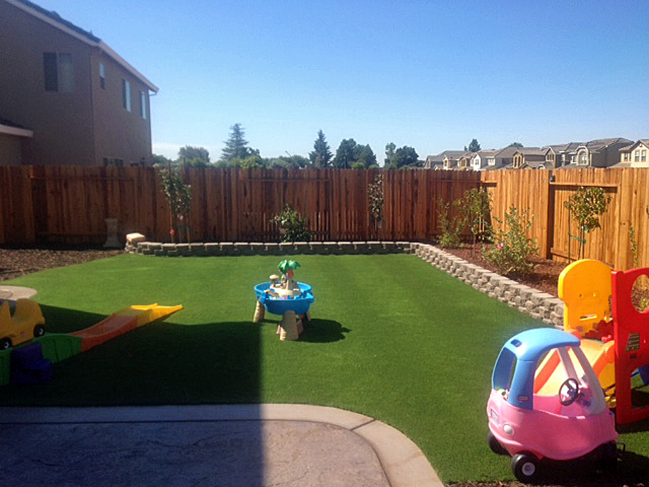 Faux Grass Paauilo Hawaii Kids Indoor Playground Backyard