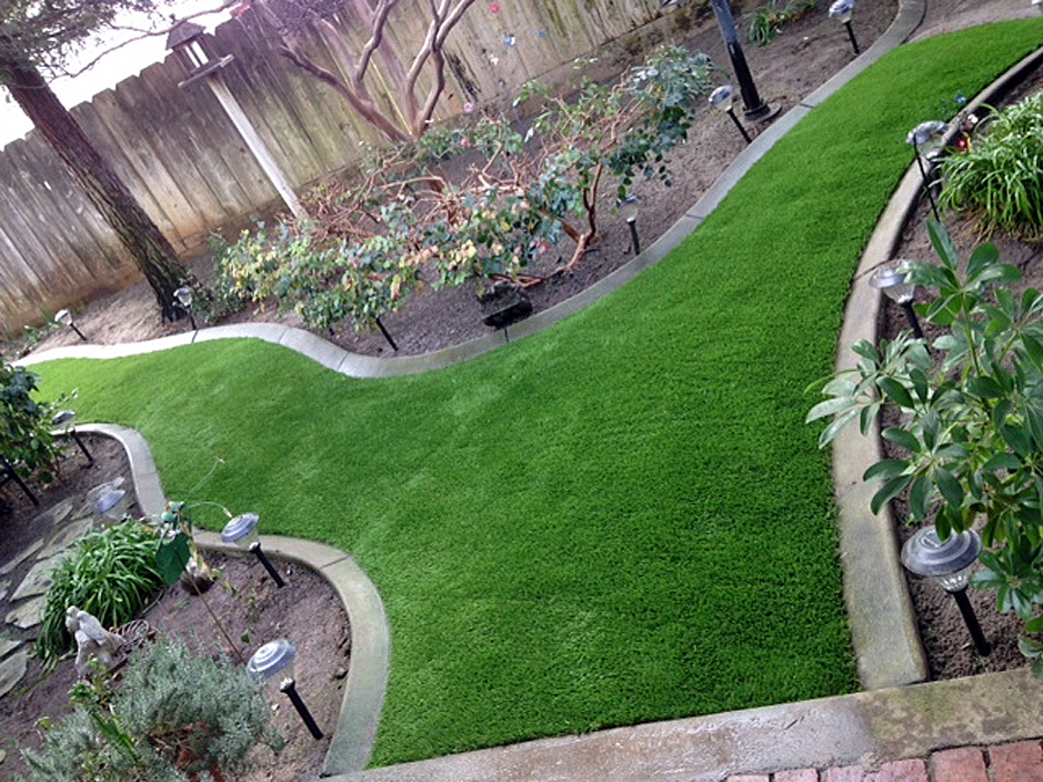 Synthetic Lawn Hilo Hawaii Home And Garden Backyard