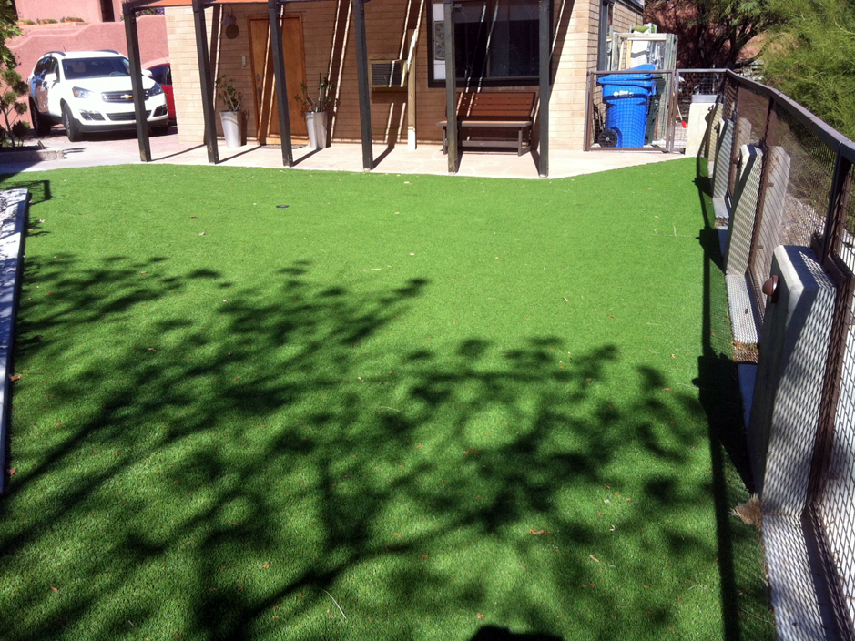 Synthetic Lawn Kane