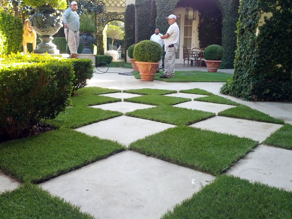 Synthetic Lawn