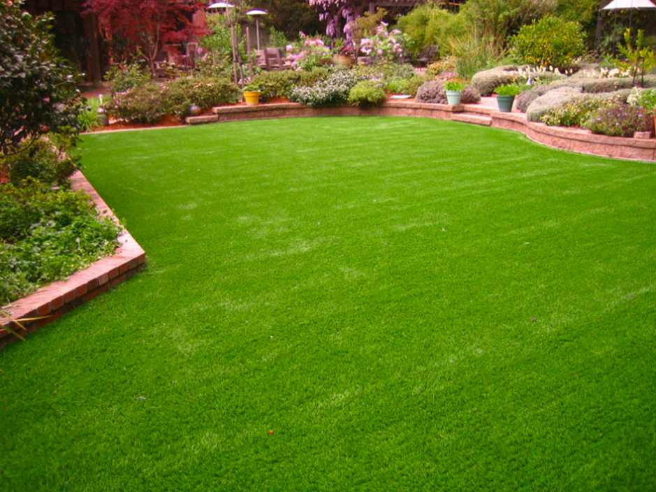 Synthetic Turf Lawa