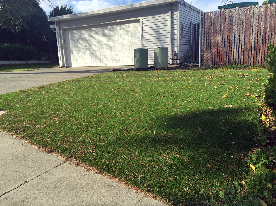 Synthetic Turf Ma