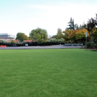 Artificial Grass Carpet Eden Roc, Hawaii Playground Flooring