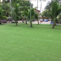 Artificial Grass Kahuku, Hawaii Landscape Design, Commercial Landscape