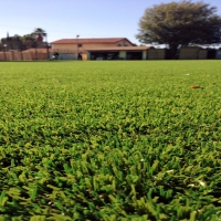 Artificial Grass Kaneohe, Hawaii Landscape Rock