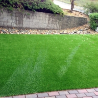 Artificial Lawn Waialua, Hawaii City Landscape, Backyard Designs