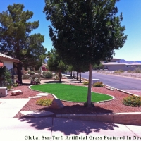 Artificial Turf Installation Waipahu, Hawaii Rooftop, Landscaping Ideas For Front Yard