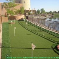 Artificial Turf Kailua, Hawaii Putting Green Flags, Backyard Ideas