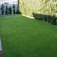 Artificial Turf Nanawale Estates, Hawaii Gardeners, Backyard Landscaping