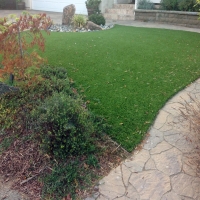 Artificial Turf Waimea, Hawaii Lawn And Landscape, Backyard