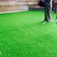 Best Artificial Grass Haiku-Pauwela, Hawaii Kids Indoor Playground, Backyard Makeover