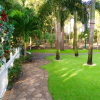 Fake Turf Waikoloa, Hawaii Landscaping, Backyard Ideas