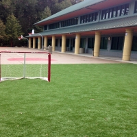 Grass Carpet Makaha, Hawaii Backyard Soccer, Commercial Landscape