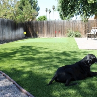 Grass Installation Village Park, Hawaii Dog Grass, Backyard Landscaping Ideas