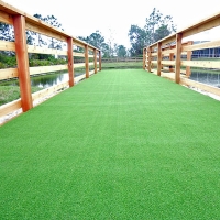 Grass Turf Kaneohe Station, Hawaii Pet Turf, Commercial Landscape