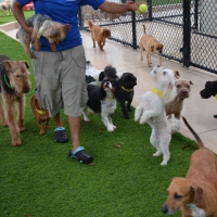 Lawn Services Pupukea, Hawaii Fake Grass For Dogs, Commercial Landscape