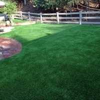 Outdoor Carpet Waimalu, Hawaii Backyard Playground, Backyard Landscaping