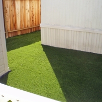 Plastic Grass Kahaluu, Hawaii Dog Running, Backyard Landscape Ideas