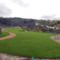 Synthetic Grass Hanalei, Hawaii Rooftop