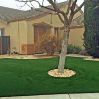 Synthetic Turf Aiea, Hawaii Garden Ideas, Front Yard