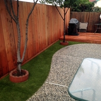 Synthetic Turf Kalihi Wai, Hawaii Hotel For Dogs, Beautiful Backyards