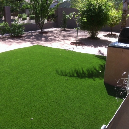 Artificial Grass Carpet Waikoloa Village, Hawaii Garden Ideas, Backyard Landscape Ideas