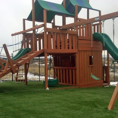 Artificial Grass Carpet Waimea, Hawaii Upper Playground