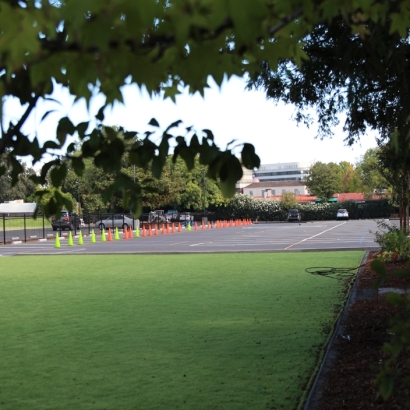 Artificial Grass Halawa, Hawaii Athletic Playground, Commercial Landscape