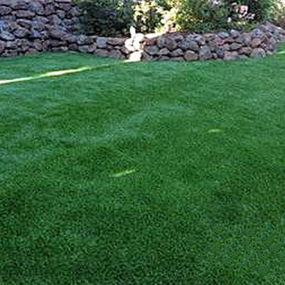 Artificial Grass Kailua-Kona, Hawaii Gardeners, Beautiful Backyards