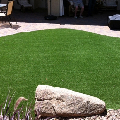 Artificial Lawn Aiea, Hawaii Cat Grass, Backyard Makeover