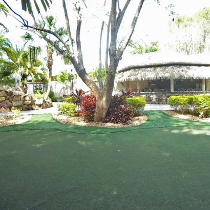 Artificial Lawn Haiku-Pauwela, Hawaii Landscape Design, Commercial Landscape