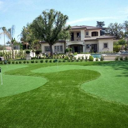 Artificial Lawn Kahului, Hawaii Backyard Playground, Small Front Yard Landscaping