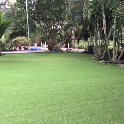 Artificial Lawn Waikapu, Hawaii Backyard Playground, Commercial Landscape