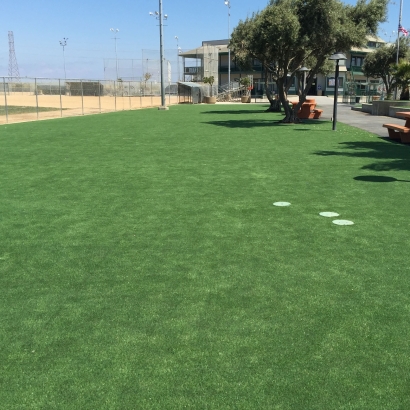 Artificial Turf Anahola, Hawaii Landscape Rock, Recreational Areas