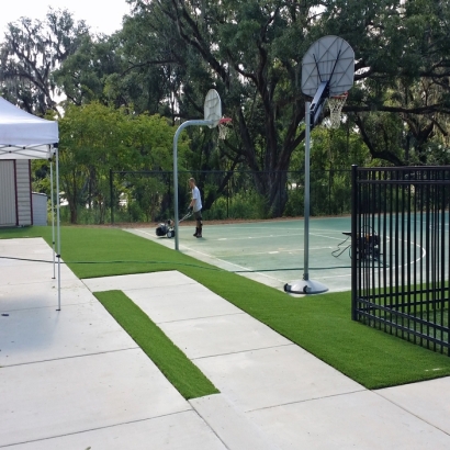 Artificial Turf Cost Village Park, Hawaii Landscape Ideas, Commercial Landscape