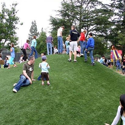 Artificial Turf Hanapepe, Hawaii Rooftop, Parks