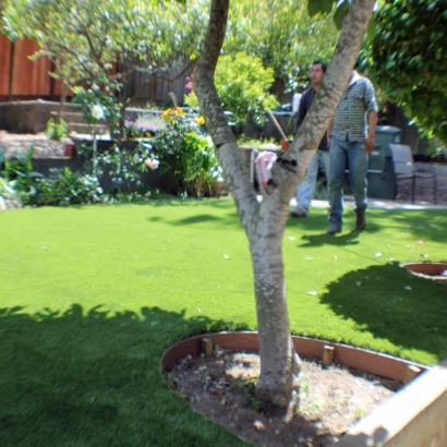 Artificial Turf Installation Kalaoa, Hawaii Design Ideas, Small Backyard Ideas