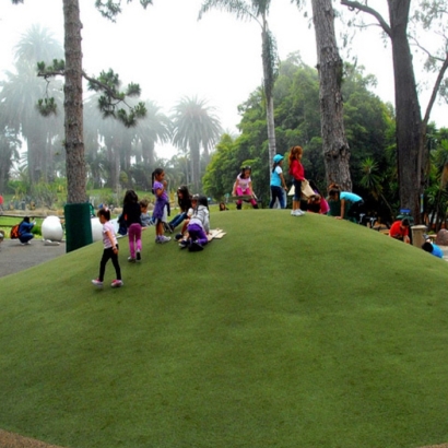 Artificial Turf Installation Kukuihaele, Hawaii Design Ideas, Parks