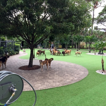 Artificial Turf Installation Nanawale Estates, Hawaii Grass For Dogs, Commercial Landscape