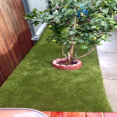 Artificial Turf Installation Paukaa, Hawaii Dog Running, Backyard Landscaping