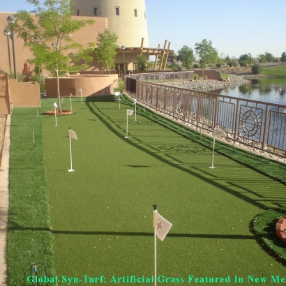 Artificial Turf Kailua, Hawaii Putting Green Flags, Backyard Ideas