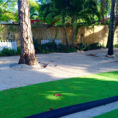 Artificial Turf Kaunakakai, Hawaii Roof Top, Parks