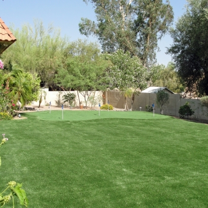 Artificial Turf Waialua, Hawaii Diy Putting Green, Backyard Landscaping Ideas