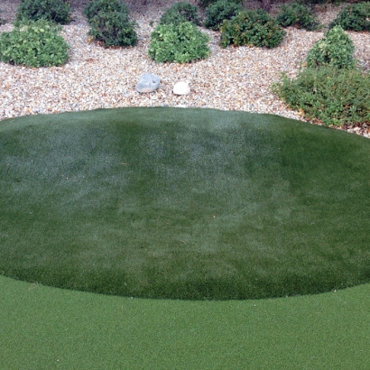 Fake Grass Carpet Lihue, Hawaii Putting Green Carpet