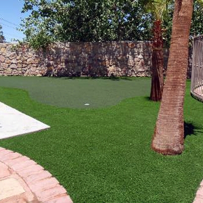 Fake Grass Carpet Maili, Hawaii Office Putting Green, Backyards