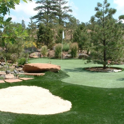 Fake Grass Carpet Napili-Honokowai, Hawaii How To Build A Putting Green, Backyards