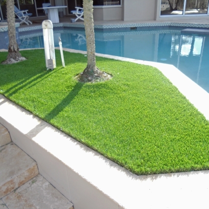 Fake Grass Waikoloa, Hawaii Design Ideas, Backyard Garden Ideas