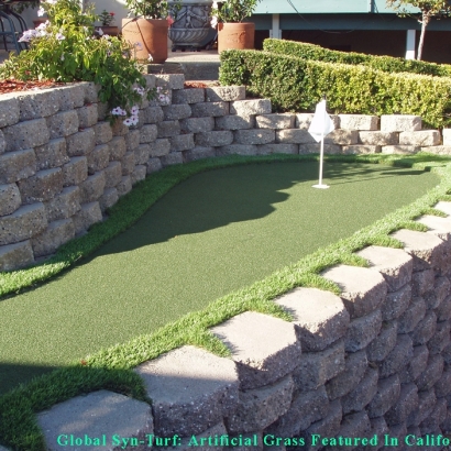 Fake Turf Kaneohe, Hawaii Putting Green Flags, Backyard Landscaping