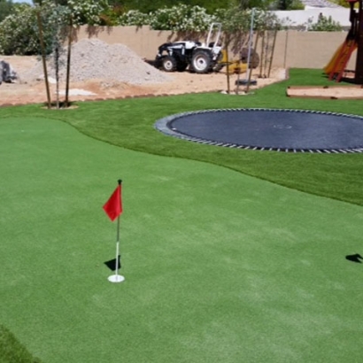 Fake Turf Keaau, Hawaii How To Build A Putting Green, Backyard Garden Ideas